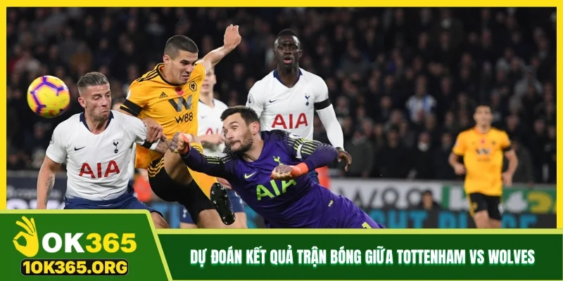 Dự đoán kết quả trận bóng giữa Tottenham vs Wolves Dự đoán kết quả trận bóng giữa Tottenham vs Wolves