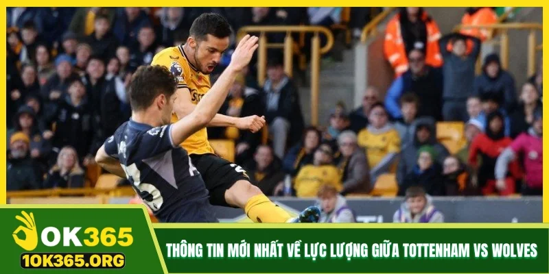 Thông tin mới nhất về lực lượng giữa Tottenham vs Wolves Thông tin mới nhất về lực lượng giữa Tottenham vs Wolves