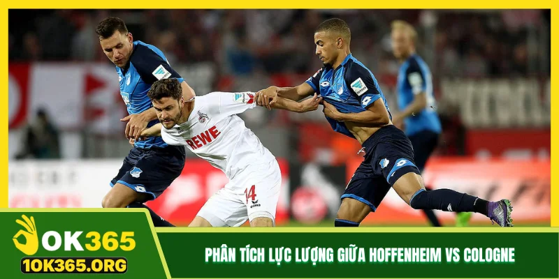 Phân tích lực lượng giữa Hoffenheim vs Cologne Phân tích lực lượng giữa Hoffenheim vs Cologne