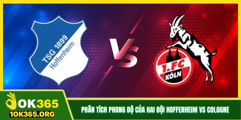 Phân tích phong độ của hai đội Hoffenheim vs Cologne Phân tích phong độ của hai đội Hoffenheim vs Cologne