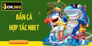 Bắn Cá Hợp Tác Nbet - Chinh Phục Thưởng Không Giới Hạn